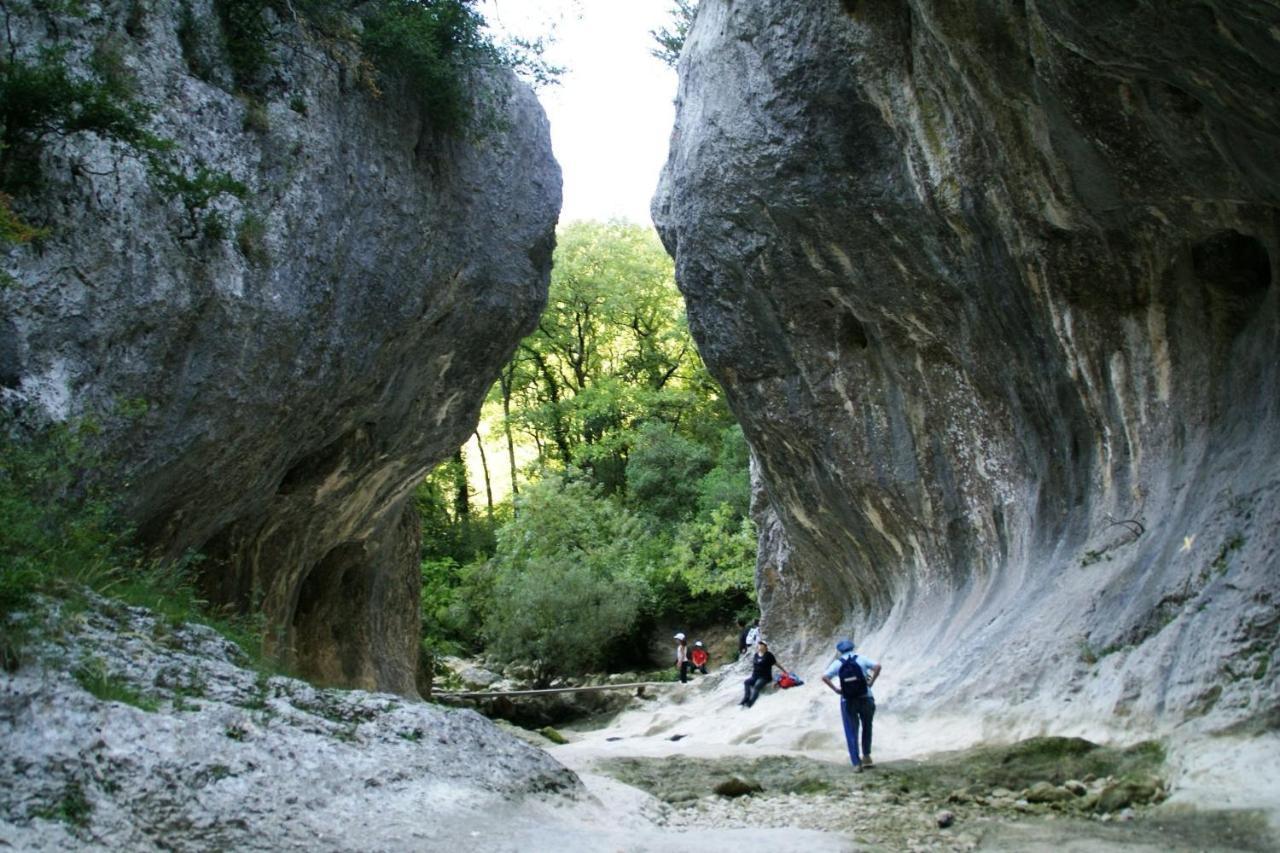 Gite Des Oliviers La Roque-sur-Cèze Buitenkant foto